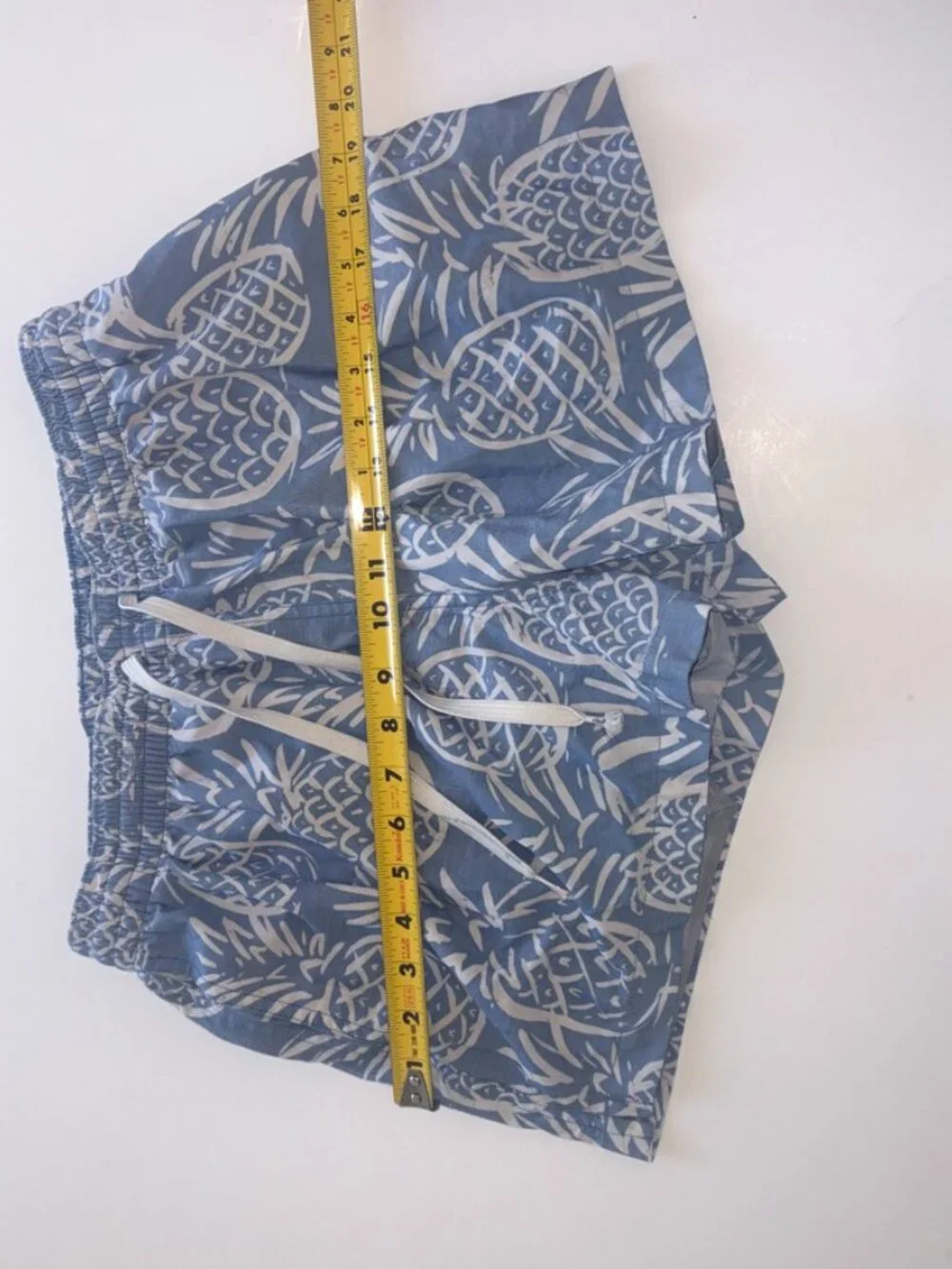 Chubbies Men's 